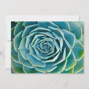 CARTÃO DE AGRADECIMENTO 