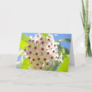 Cartão de Agradecimento