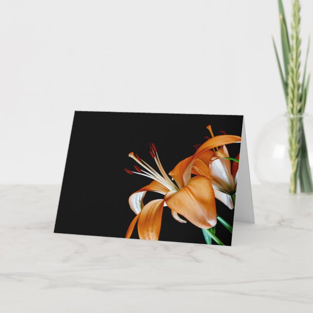 Cartão De Agradecimento 4464-Fechamento das Moscas Laranja (Frente)