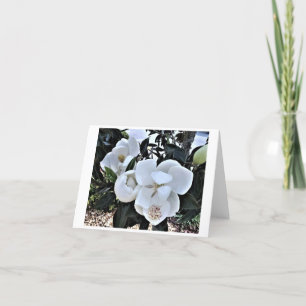 Cartão De Agradecimento 8 Pack of Magnolia Flower note Cards