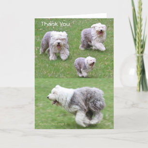 Cartão De Agradecimento A alegria é o formulário o mais simples da