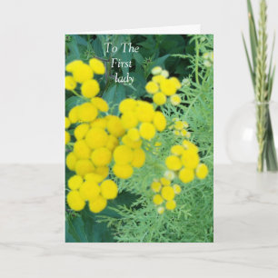 Cartão De Agradecimento À Primeira-Dama