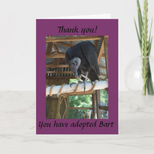 Cartão De Agradecimento Adopt Bart the Black Vulture
