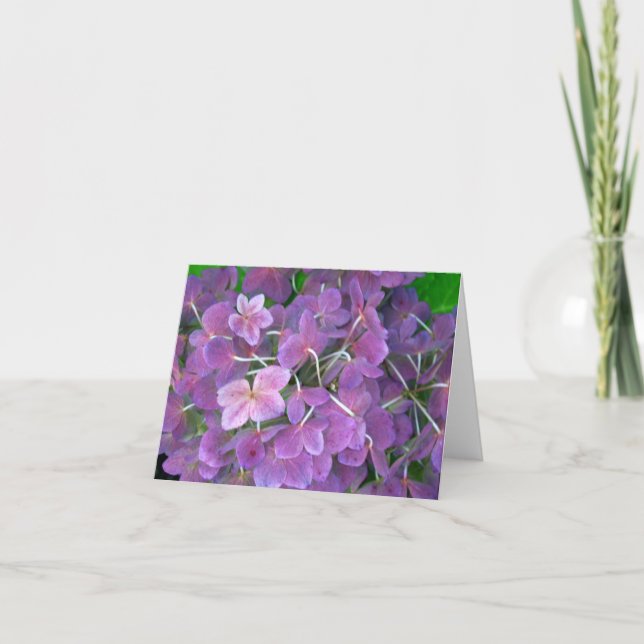 Cartão De Agradecimento Adorável Lavanda Hydrangeas (Frente)