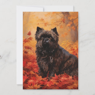 Cartão De Agradecimento Affenpinscher deixa cair inspirada