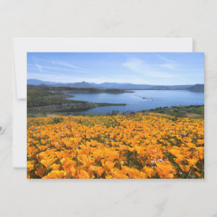 Cartão De Agradecimento Água   Lago California Com Poppies Ouros
