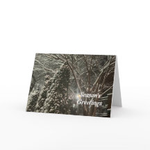 Aguardente de férias