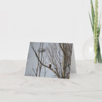 Águia americana e Blackhawk Notecard - vazio para