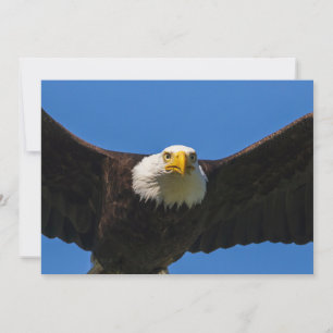 Cartão De Agradecimento Águia Americana Voando Perto