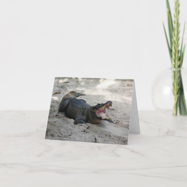 Cartão De Agradecimento Alligator, Fort Lauderdale, Florida (Frente)