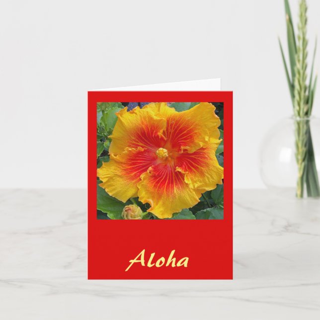 Cartão De Agradecimento Aloha Hibiscus (Frente)