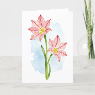 Cartão De Agradecimento Amaryllis Flower Watercolor