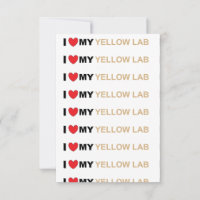 Amor amarelo LR
