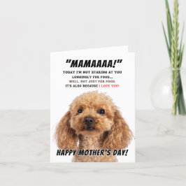 Cartão De Agradecimento Amor de poodle por dia de as mães