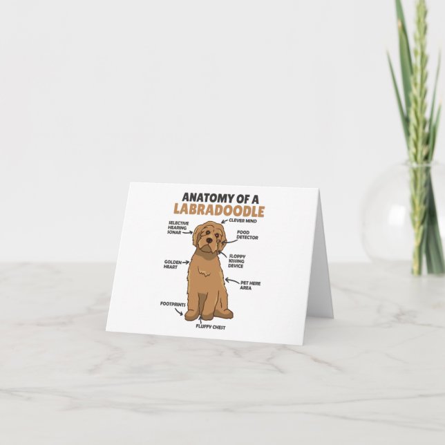 Cartão De Agradecimento Anatomia De Um Labradoodle Cute Canine Puppy (Frente)