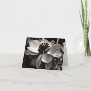 Cartão De Agradecimento Anemone Floral Photo Sympathy Thank You Note Card