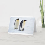 Cartão De Agradecimento Animais bonitos congelados pinguim do tempo do<br><div class="desc"></div>