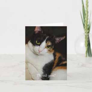 Cartão De Agradecimento Apenas Andando Por Aí