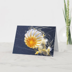 Cartão De Agradecimento Aquário de águas-vivas - Sealife de todas as ocasi