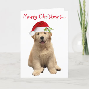 Cartão De Agradecimento Archie Christmas Puppy