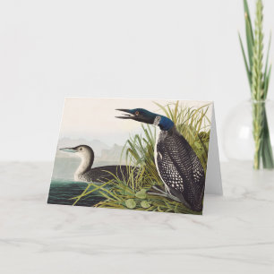 Cartão De Agradecimento Arte da Natureza do Pato-Mergulhão de Audubon Vint