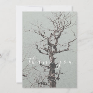 Cartão De Agradecimento Árvore Weathersted Blue Lake Flat Obrigado