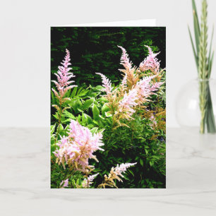 Cartão De Agradecimento Astilbe