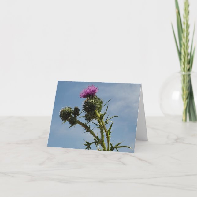 Cartão De Agradecimento Astro (Frente)