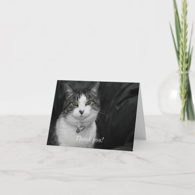 Cartão De Agradecimento Atrevo-me a olhar nos meus olhos verdes (Frente)