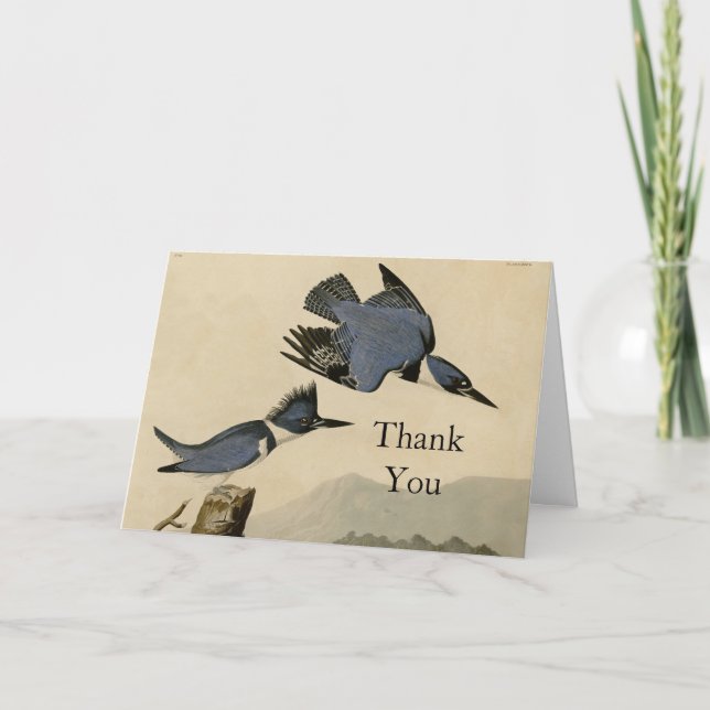 Cartão De Agradecimento Audubon Belfisher Kingfisher Wildlife Bird (Frente)
