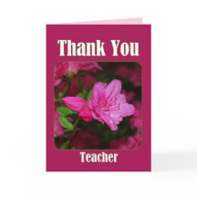 Azalea Rosa Obrigado Vazio