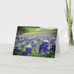 Cartão De Agradecimento Azul Bluebonnets Flores Texas Texano Floral