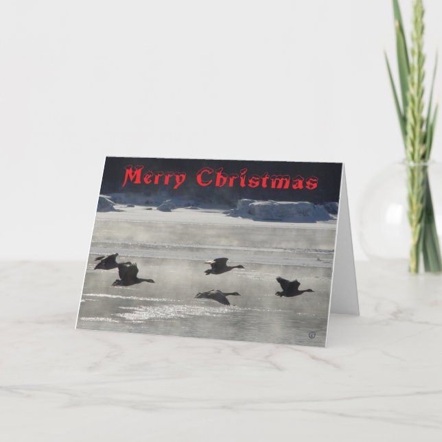 Cartão De Agradecimento B47 Canada Geese Over Frozen River Christmas Card (Frente)