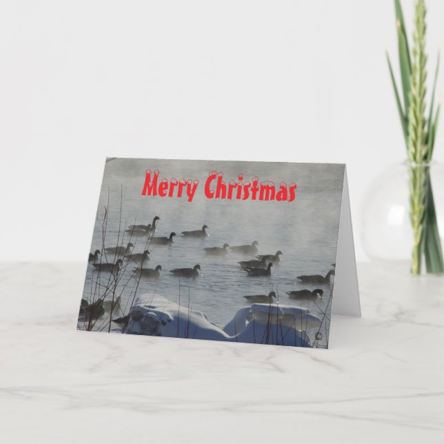 Cartão De Agradecimento B 49 Canada Geese on Foggy River Christmas Card (Frente)