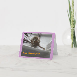 Cartão De Agradecimento Baby Hummingbird
