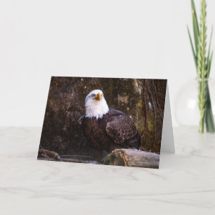 Cartão De Agradecimento Bald Eagle