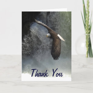 Cartão De Agradecimento Bald Eagle Greeting Cards