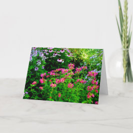 Cartão De Agradecimento Bálsamo-de-mel