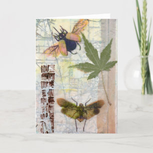 Cartão De Agradecimento Beautiful Flying Bugs Note Card