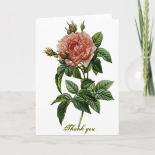 Cartão De Agradecimento Beautiful Rose