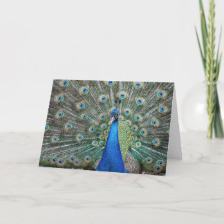 Cartão De Agradecimento BeautifulPeacock