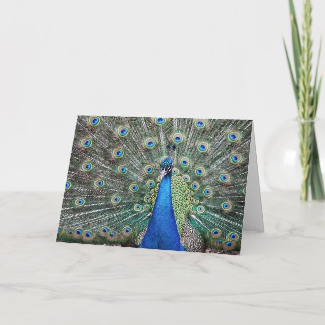 Cartão De Agradecimento BeautifulPeacock (Frente)