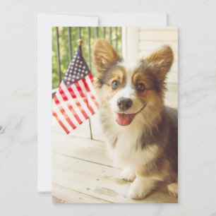 Cartão De Agradecimento Bebês Mais Pobres American Flag Corgi