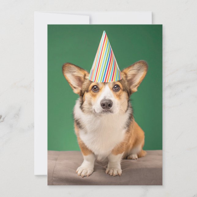 Cartão De Agradecimento Bebês Mais Pobres | Corgi Birthday Puppy (Frente)