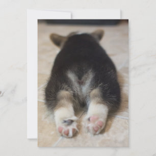 Cartão De Agradecimento Bebês Mais Pobres   Corgi Puppy Atrás