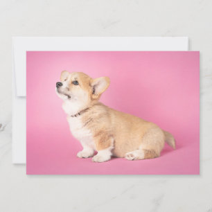 Cartão De Agradecimento Bebês Mais Pobres   Corgi-Puppy rosa