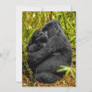 Cartão De Agradecimento Bebês Mais Pobres Gorilla & Baby