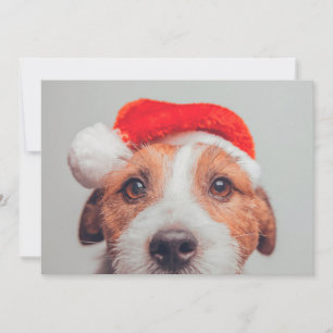 Cartão De Agradecimento Bebês Mais Pobres   Jack Russell Dog Santa Claus