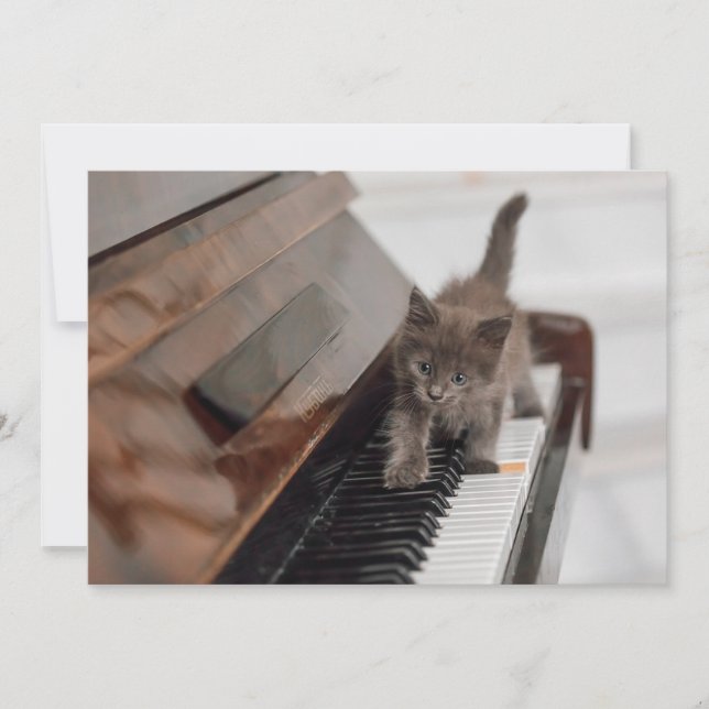 Cartão De Agradecimento Bebês Mais Pobres | Kitten on Piano (Frente)