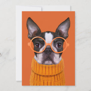 Cartão De Agradecimento Bebês Mais Pobres Orange Boston Terrier